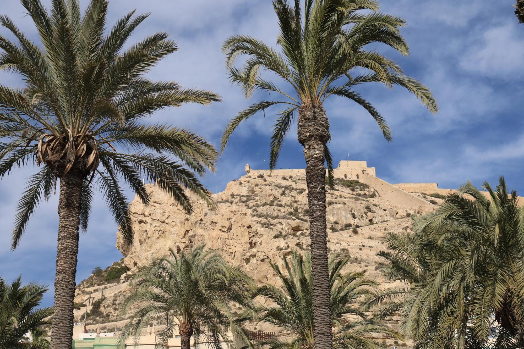 Alicantan Vital Experience Alicante Eksteriør billede