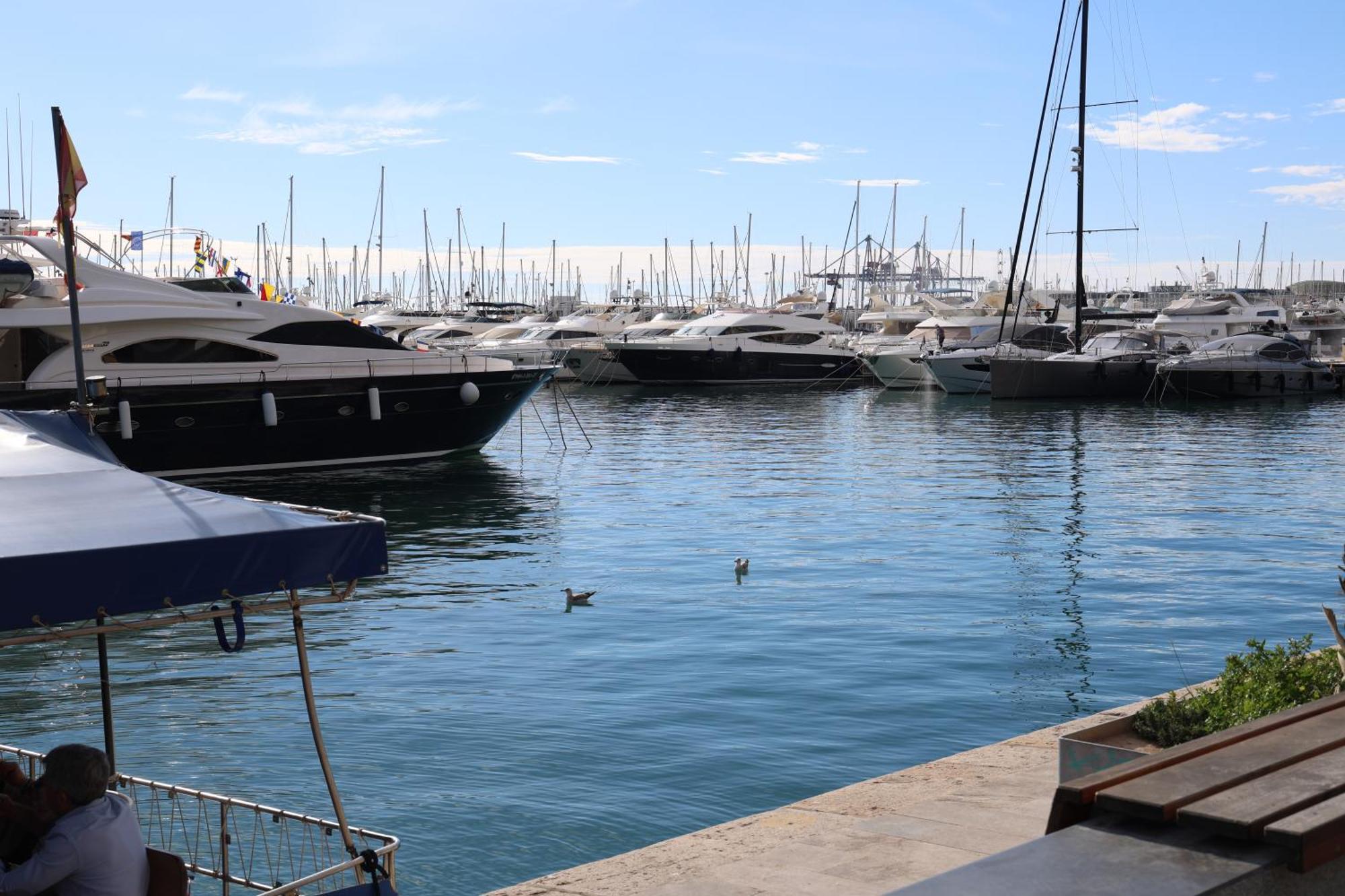 Alicantan Vital Experience Alicante Eksteriør billede